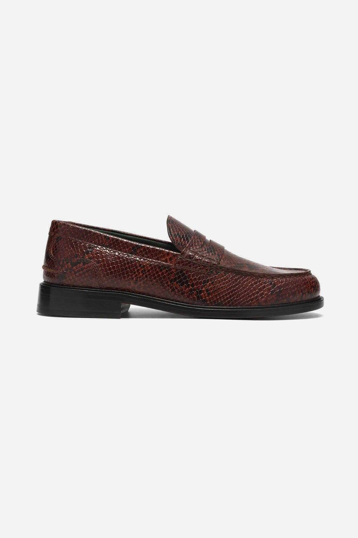CRAFT JAMES LO BROWN SNAKE