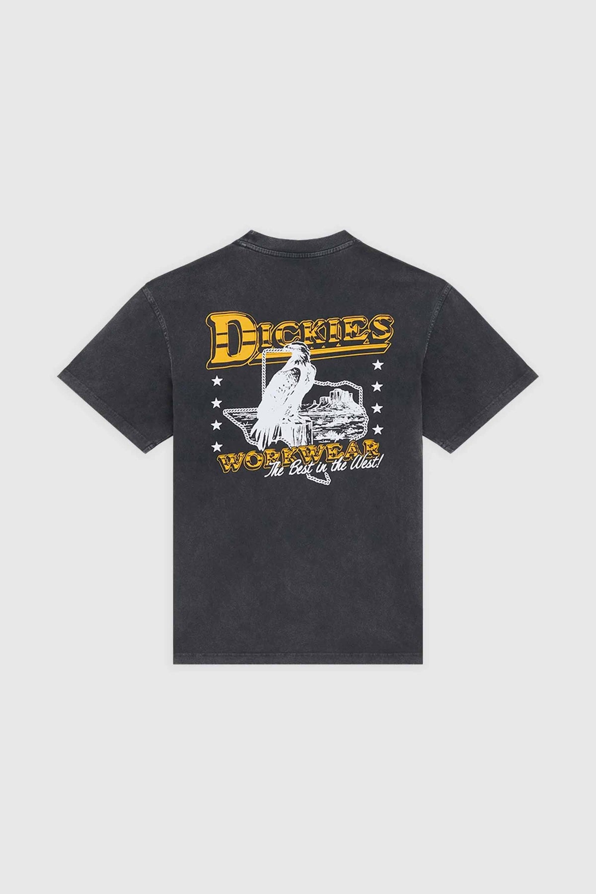 GAINESVILLE SS TEE