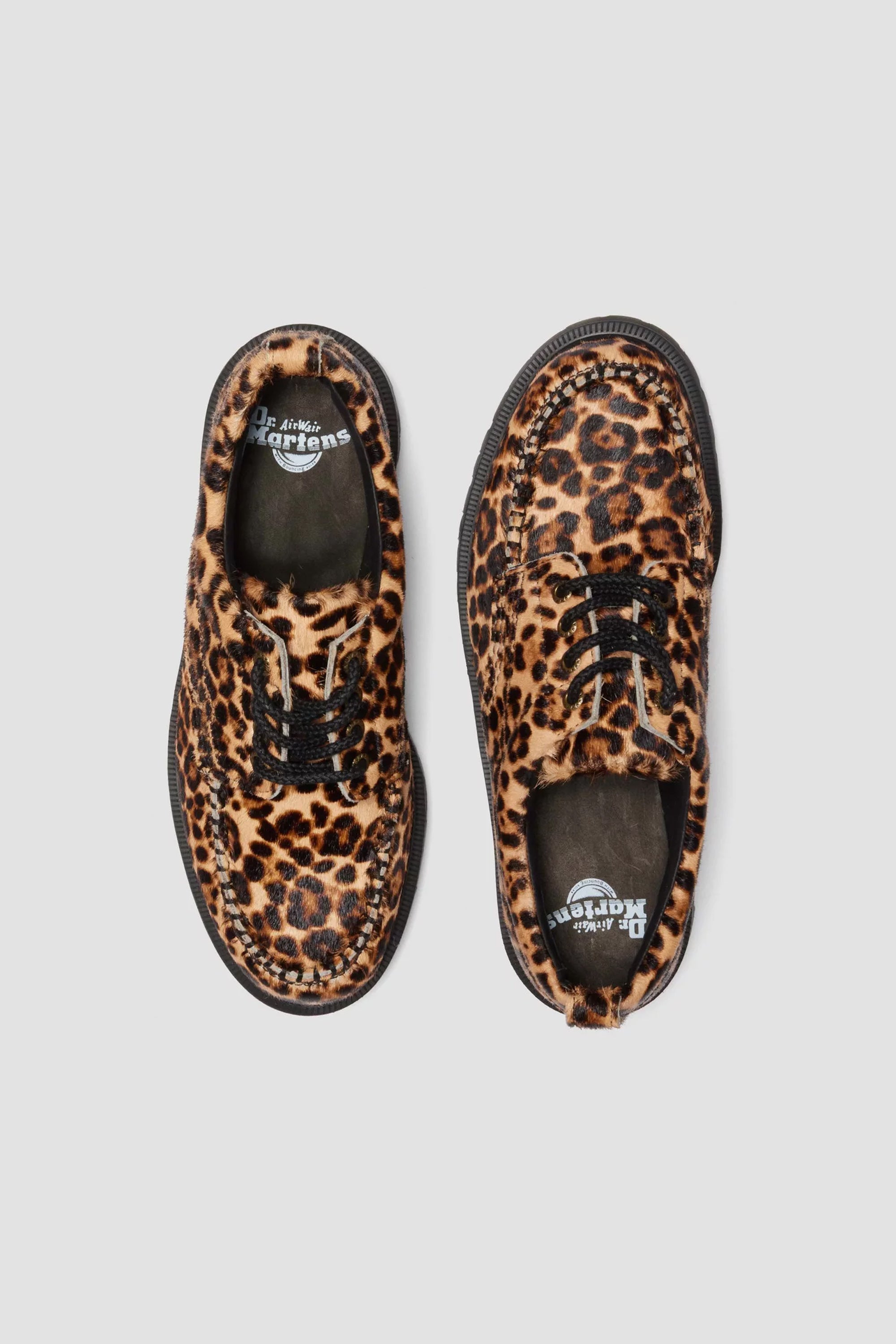 LOWELL ARCHIVE LEOPARD