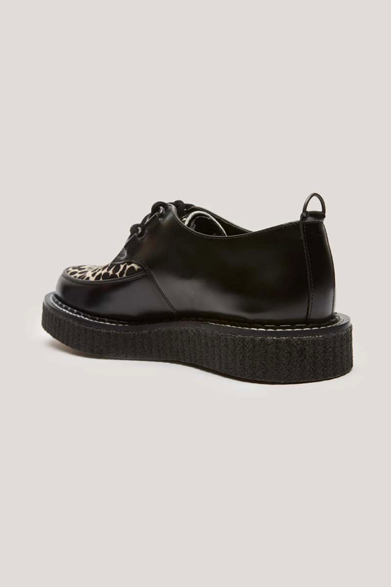 George Cox x YMC Hatton