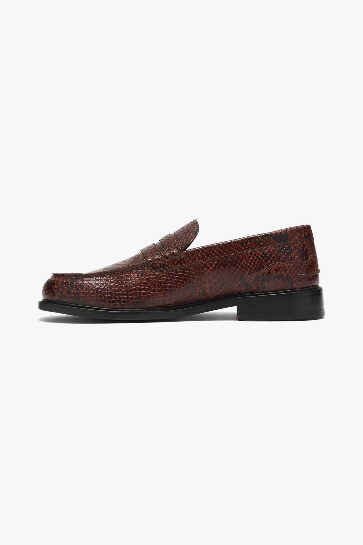 CRAFT JAMES LO BROWN SNAKE
