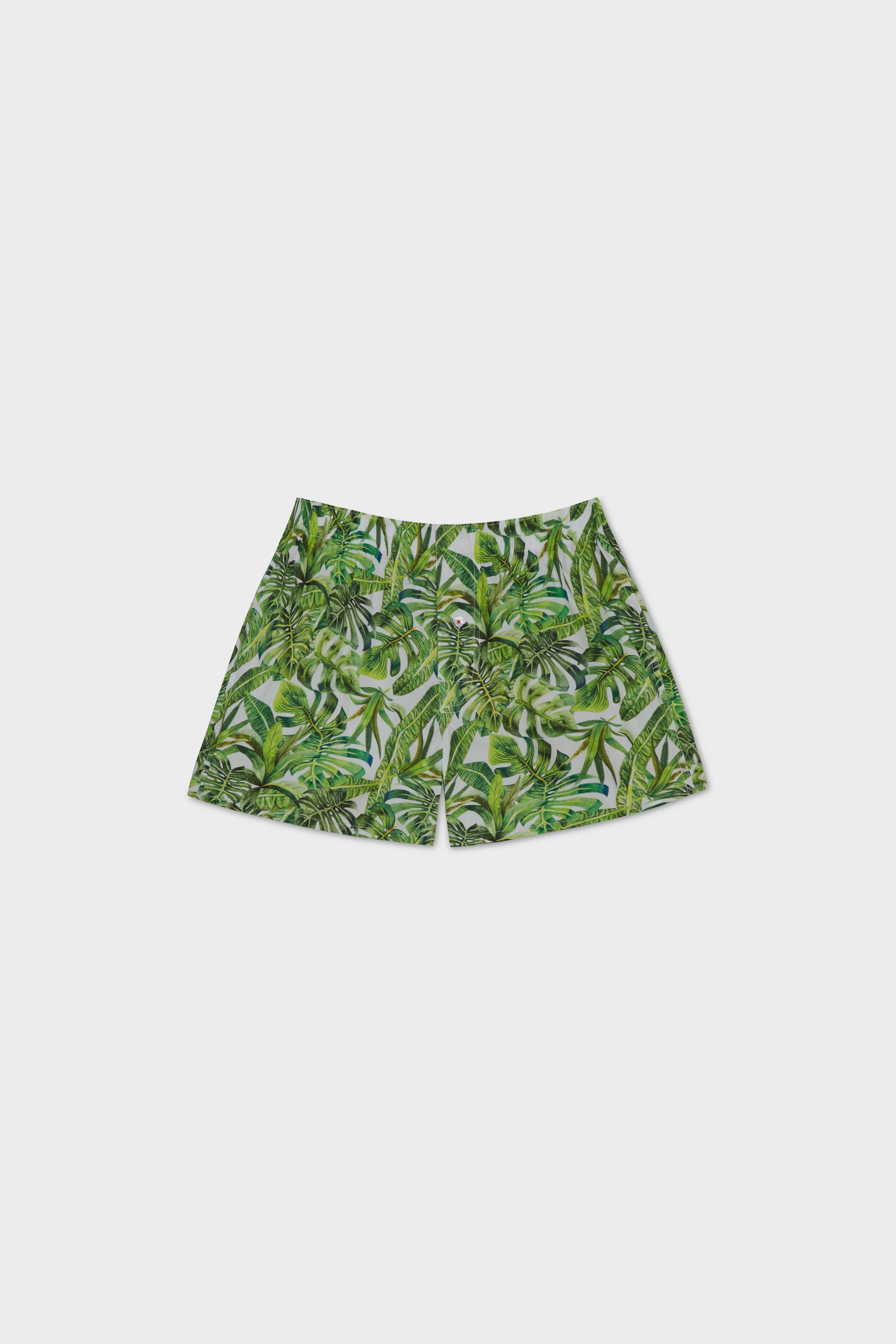 HOUSE PLANTS BOXER SHORT