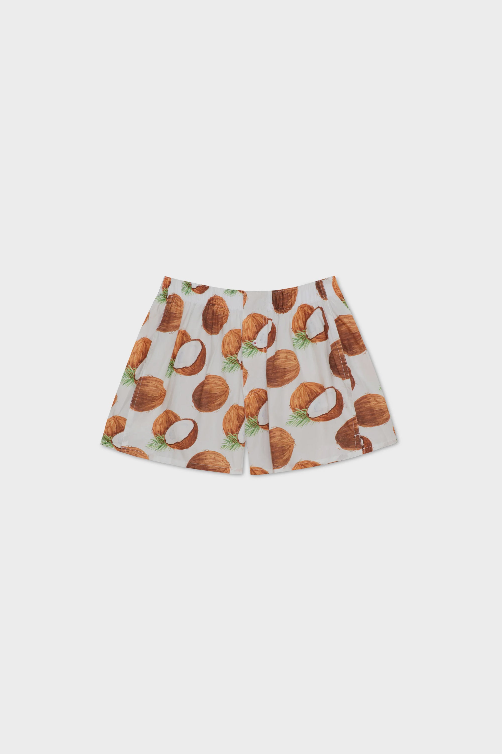 WATERCOLOR COCONUTS BOXER SHORT