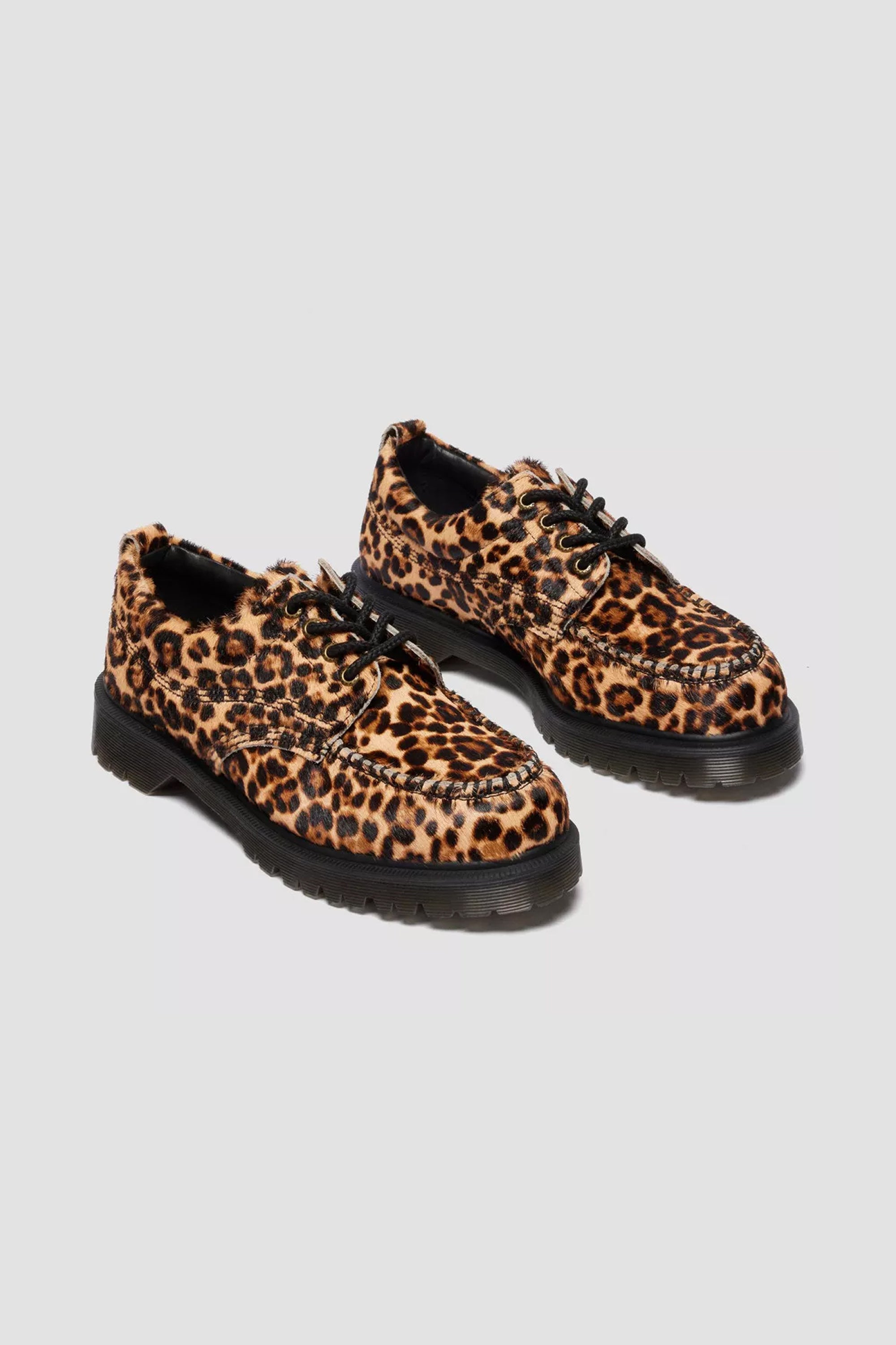 LOWELL ARCHIVE LEOPARD