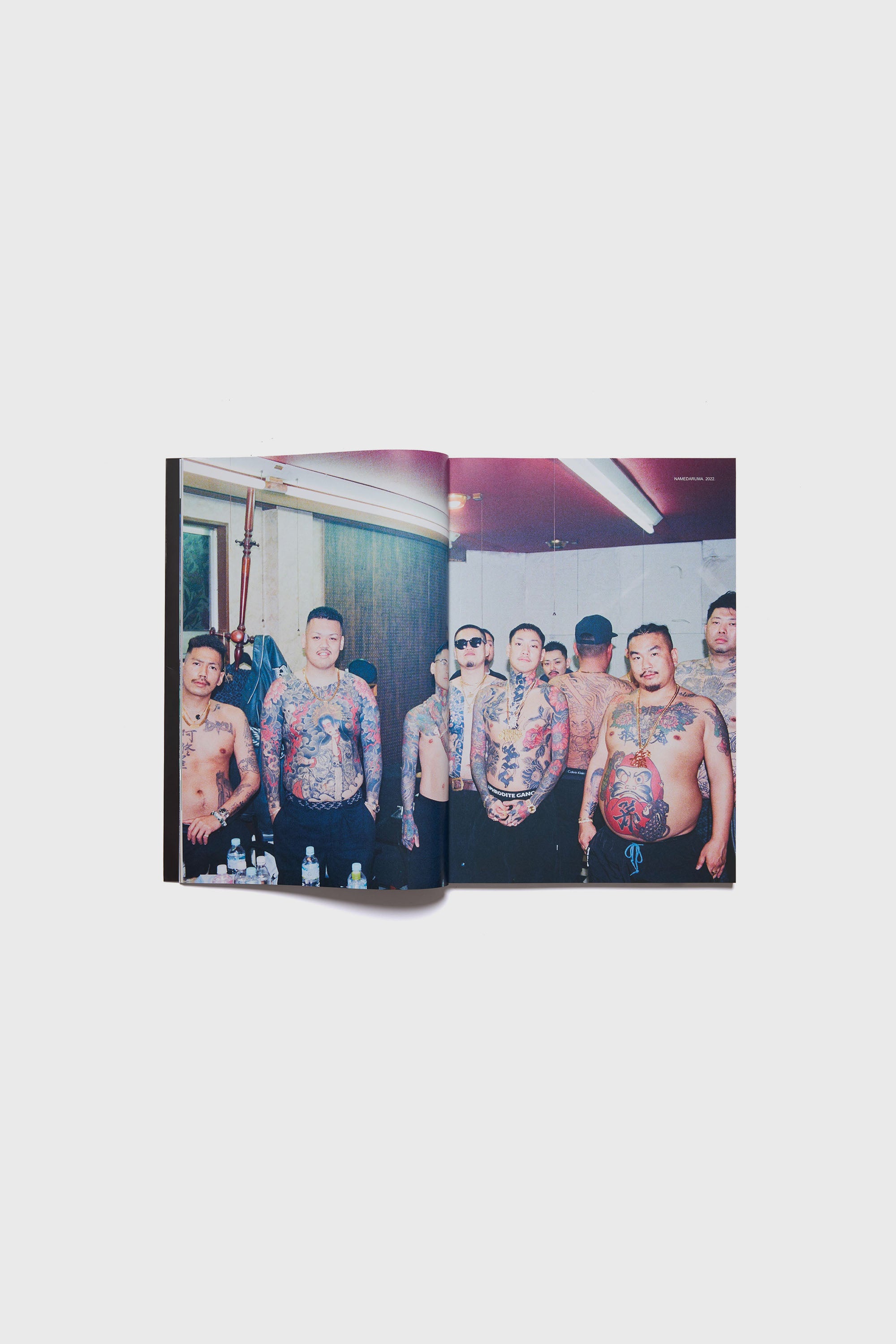 LIVING PROOF ISSUE 11