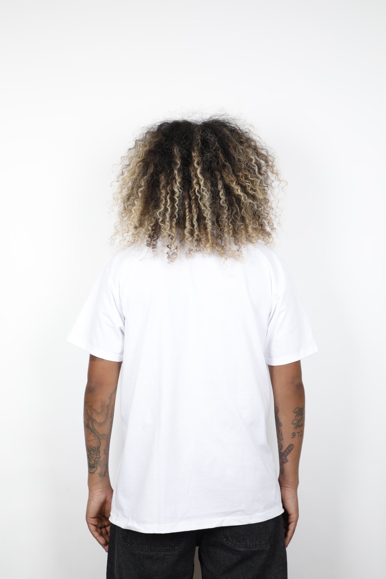 T-SHIRT IVES SS