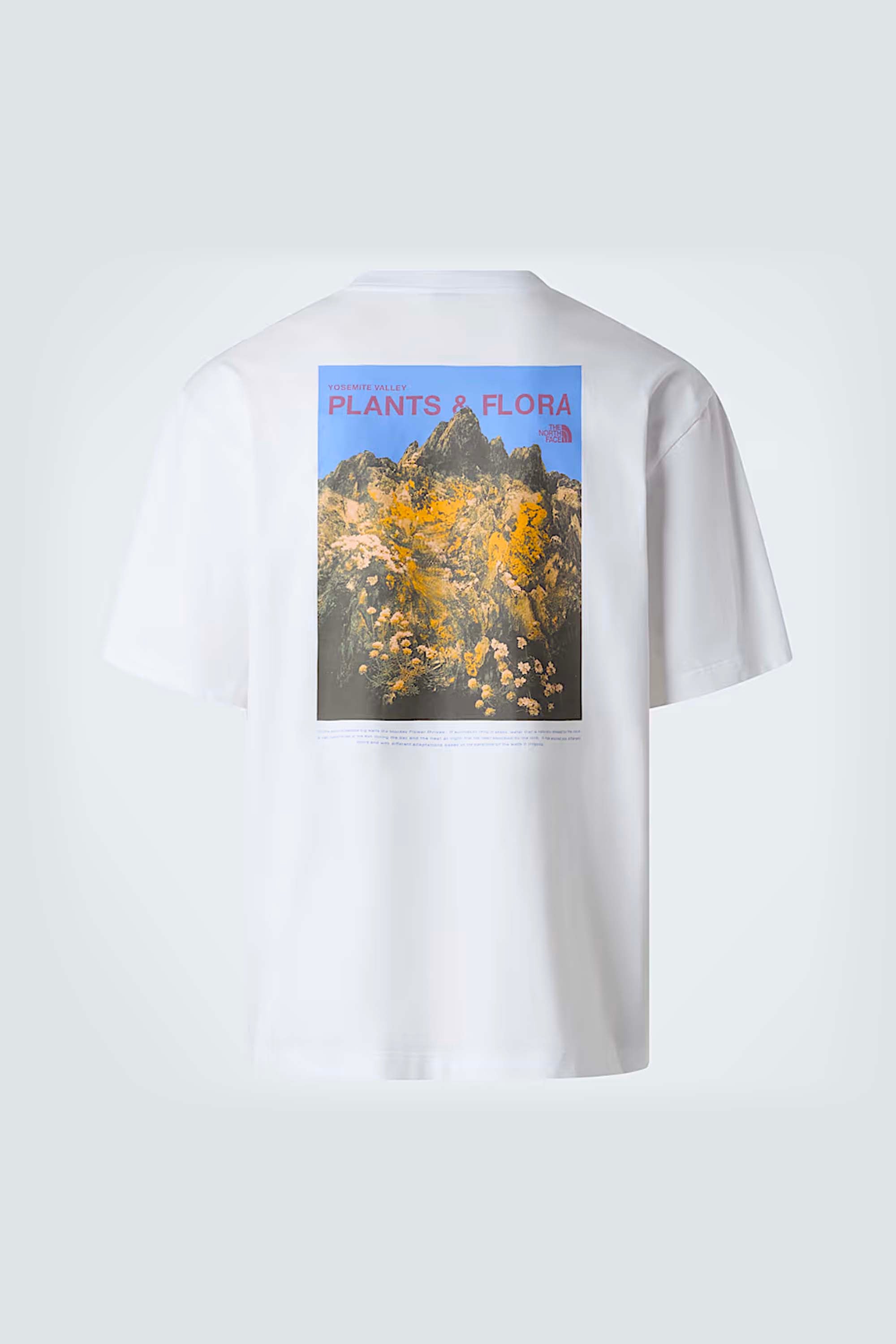 PLANT&FLORA OS SS TEE